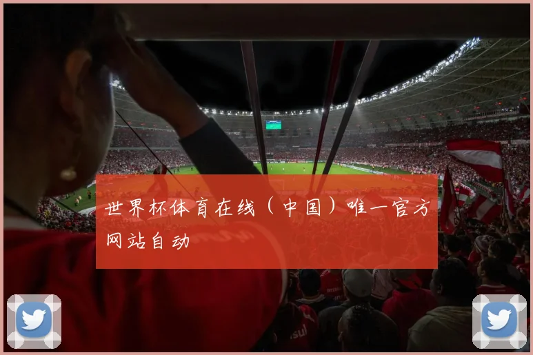 世界杯体育在线（中国）唯一官方网站自动