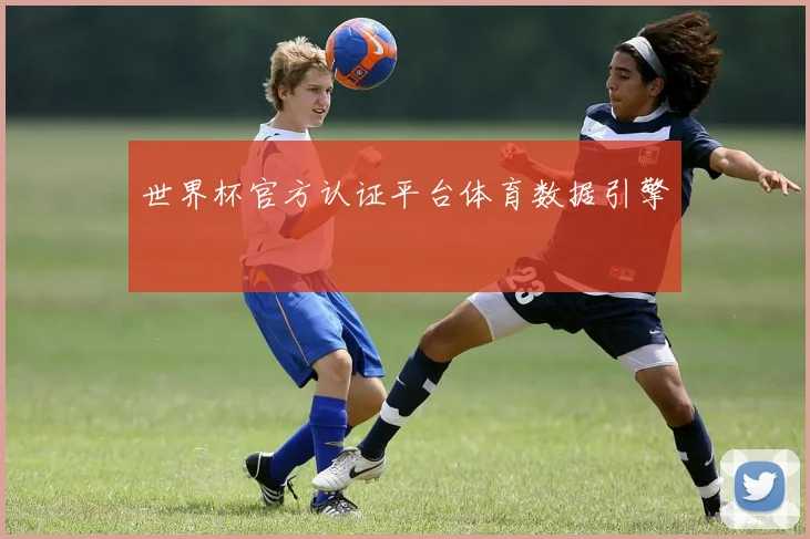 世界杯官方认证平台体育数据引擎