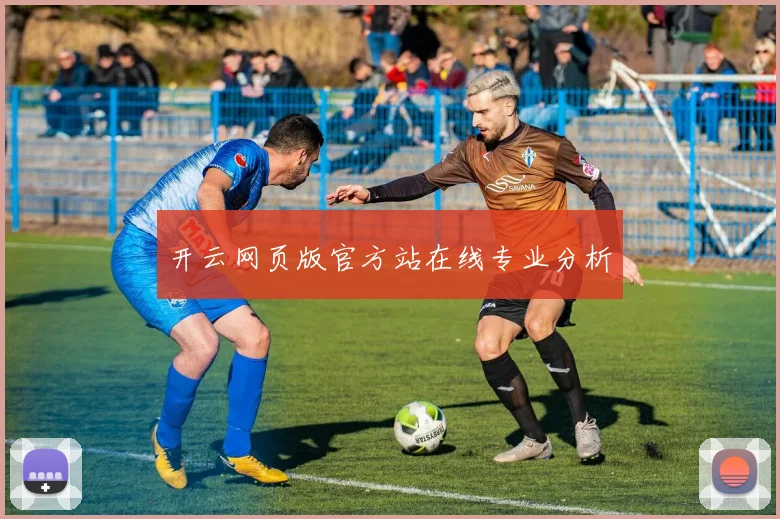 开云网页版官方站在线专业分析