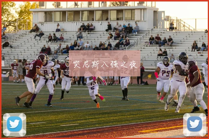 突尼斯八强之夜