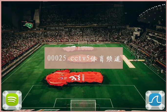 00025_cctv5体育频道