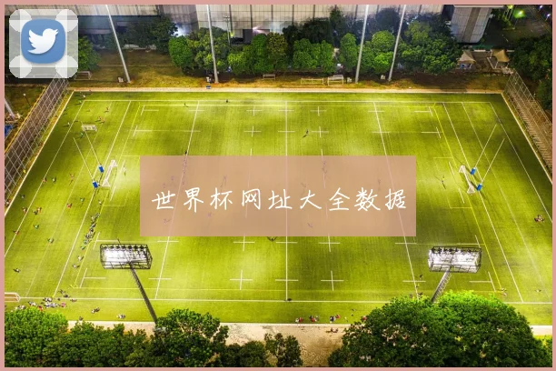 世界杯网址大全数据