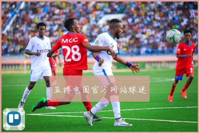 亚搏中国官方网站球迷