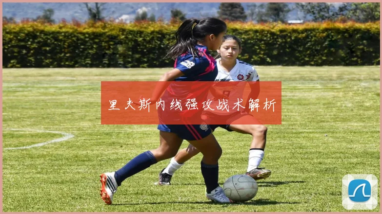 里夫斯内线强攻战术解析