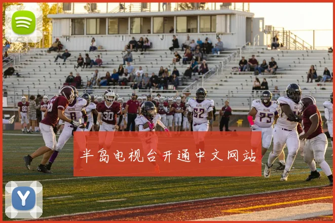 半岛电视台开通中文网站