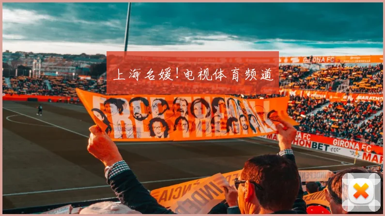 上海名媛!电视体育频道