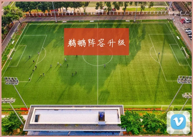 鹈鹕阵容升级