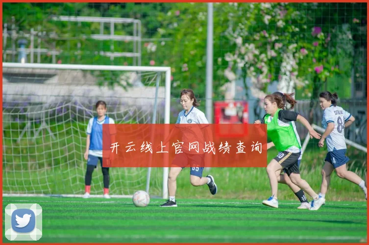 开云线上官网战绩查询