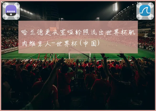 哈兰德更衣室哑铃照流出世界杯肌肉维京人-世界杯(中国)