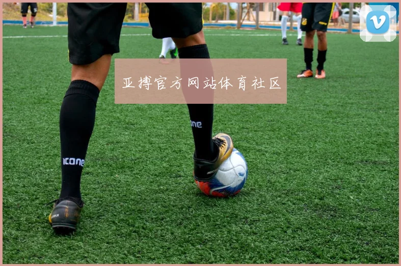 亚搏官方网站体育社区