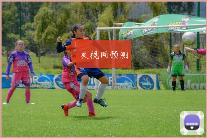央视网预测