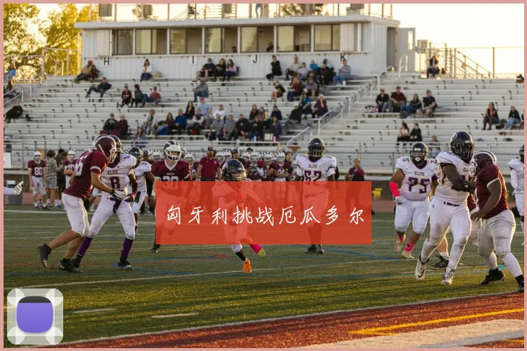 匈牙利挑战厄瓜多尔