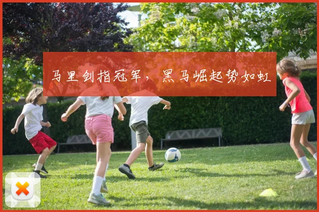 马里剑指冠军，黑马崛起势如虹