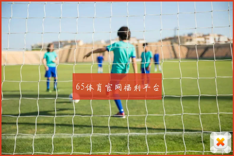 65体育官网福利平台