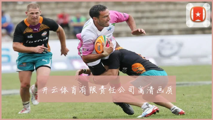 开云体育有限责任公司高清画质