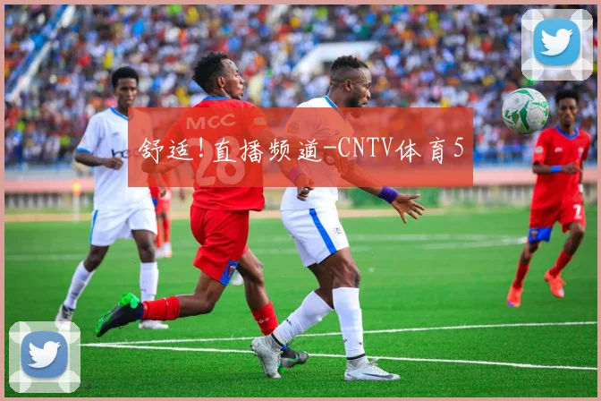 舒适!直播频道-CNTV体育5