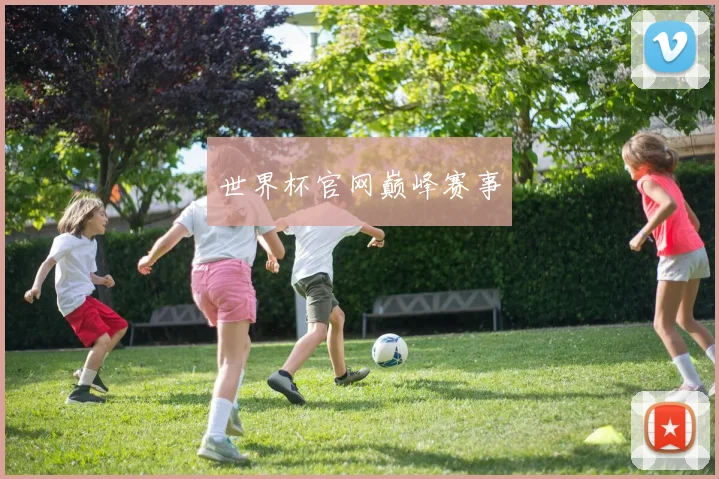 世界杯官网巅峰赛事