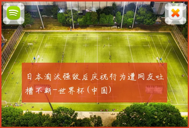 日本淘汰强敌后庆祝行为遭网友吐槽不断-世界杯(中国)