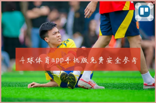 斗球体育app手机版免费安全参考