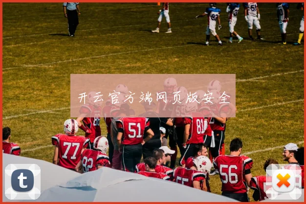 开云官方端网页版安全