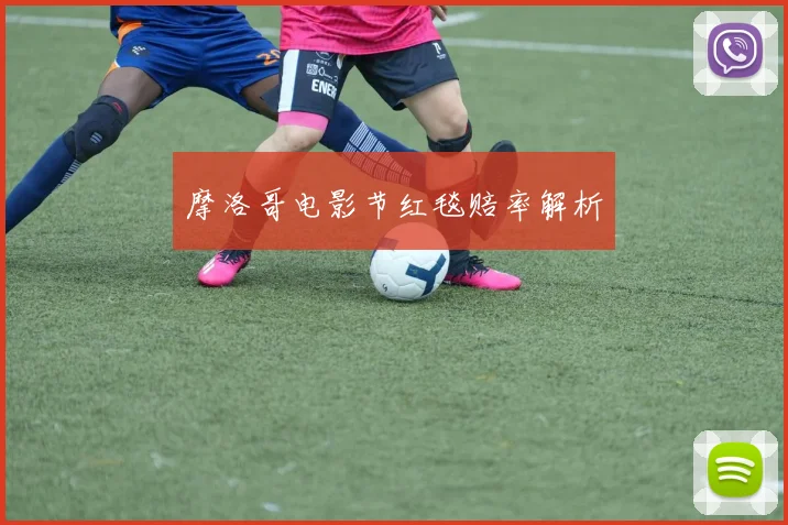 摩洛哥电影节红毯赔率解析