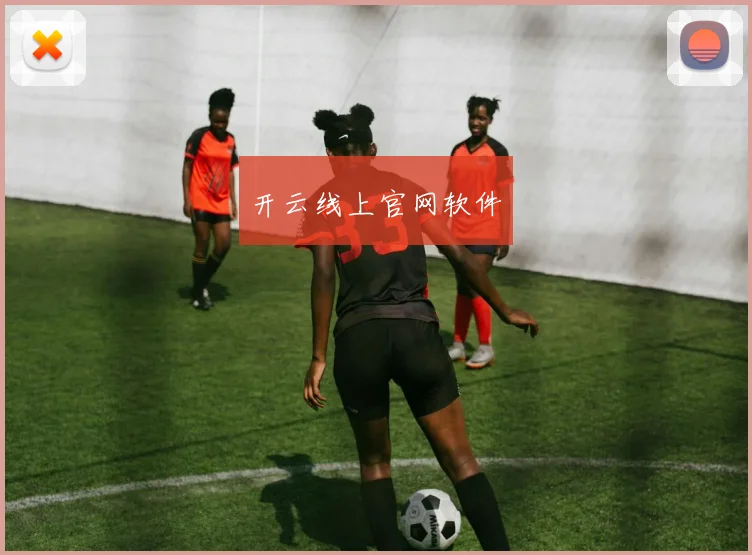开云线上官网软件