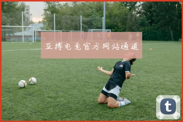亚搏电竞官方网站通道