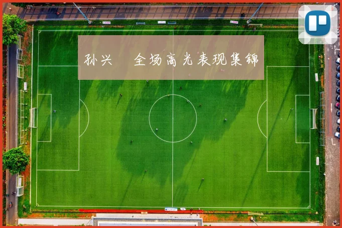 孙兴慜全场高光表现集锦