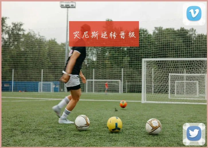 突尼斯逆转晋级