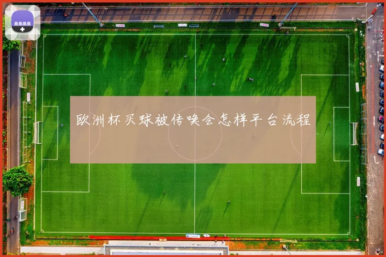 欧洲杯买球被传唤会怎样平台流程