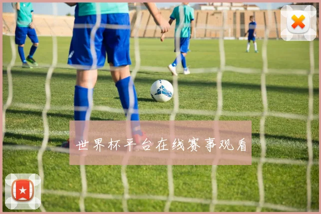 世界杯平台在线赛事观看