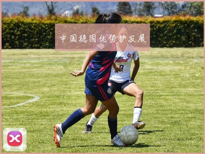 中国稳固优势护发展