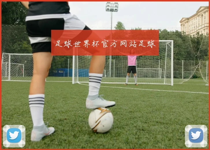 足球世界杯官方网站足球