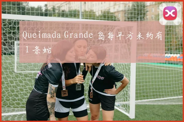 Queimada Grande 岛每平方米约有 1 条蛇