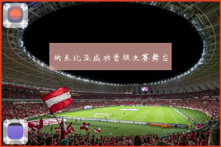 纳米比亚成功晋级决赛舞台