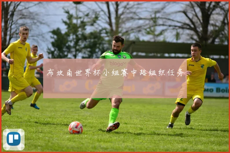 布坎南世界杯小组赛中路组织任务