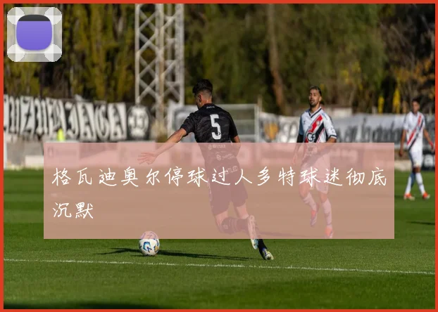 格瓦迪奥尔停球过人多特球迷彻底沉默