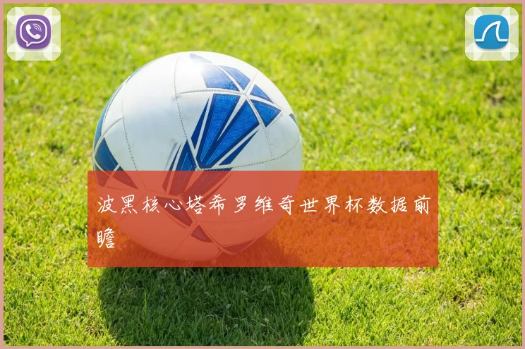 波黑核心塔希罗维奇世界杯数据前瞻