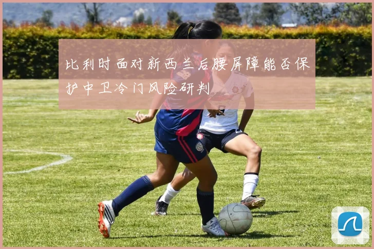 比利时面对新西兰后腰屏障能否保护中卫冷门风险研判