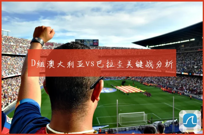 D组澳大利亚vs巴拉圭关键战分析