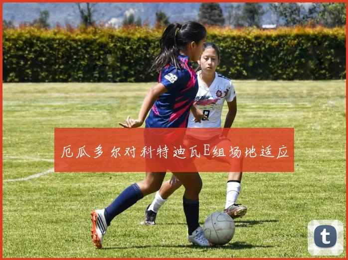 厄瓜多尔对科特迪瓦E组场地适应