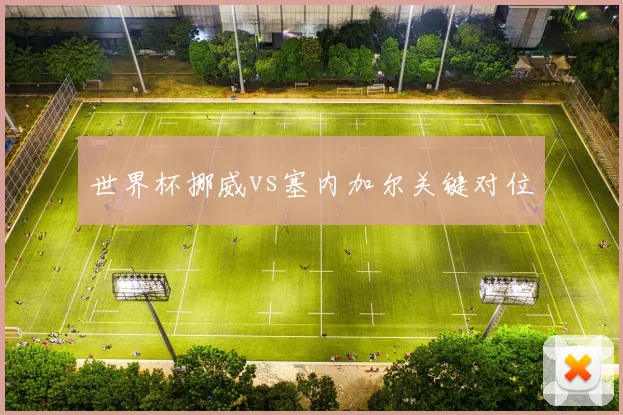 世界杯挪威vs塞内加尔关键对位
